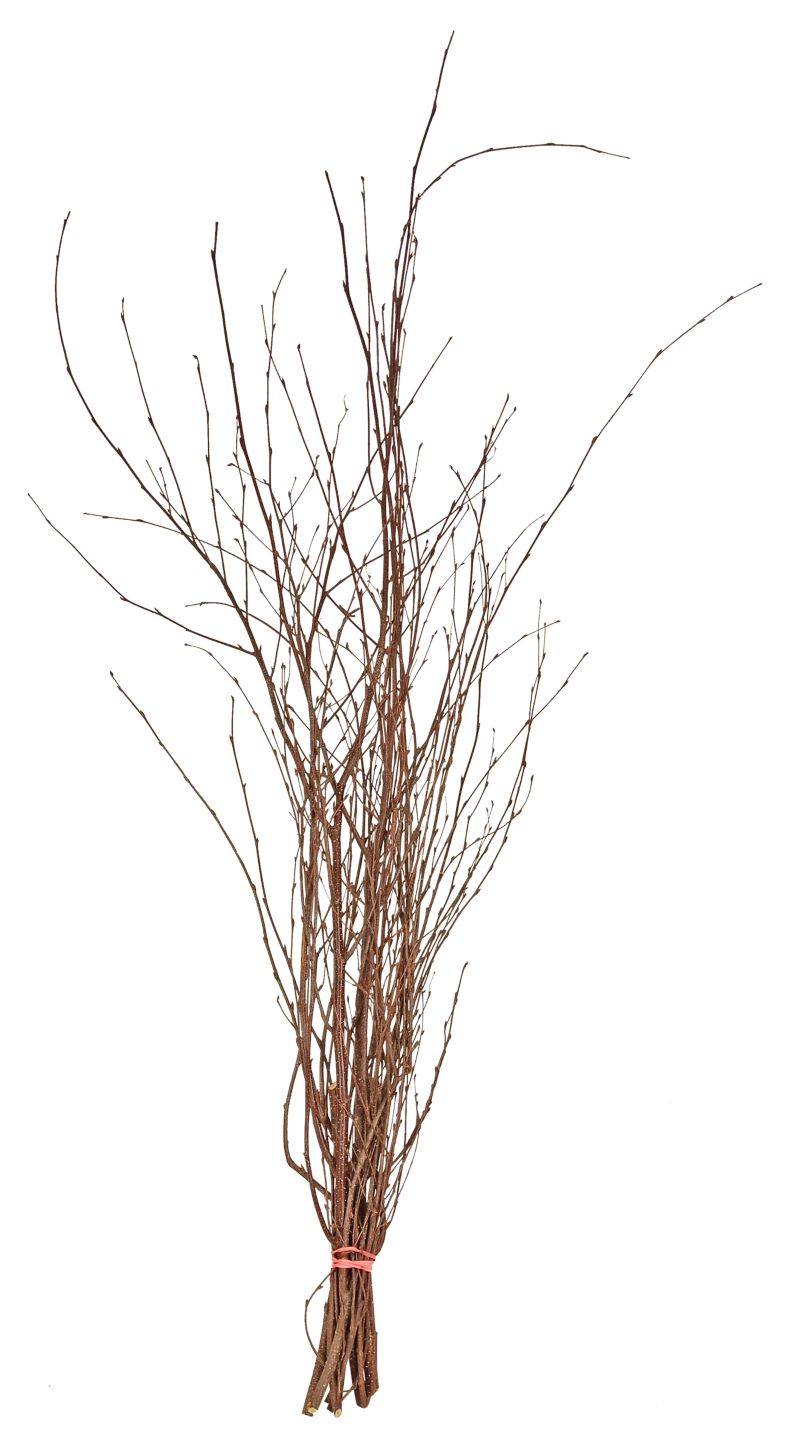 Frühjahrszweige Handbunde