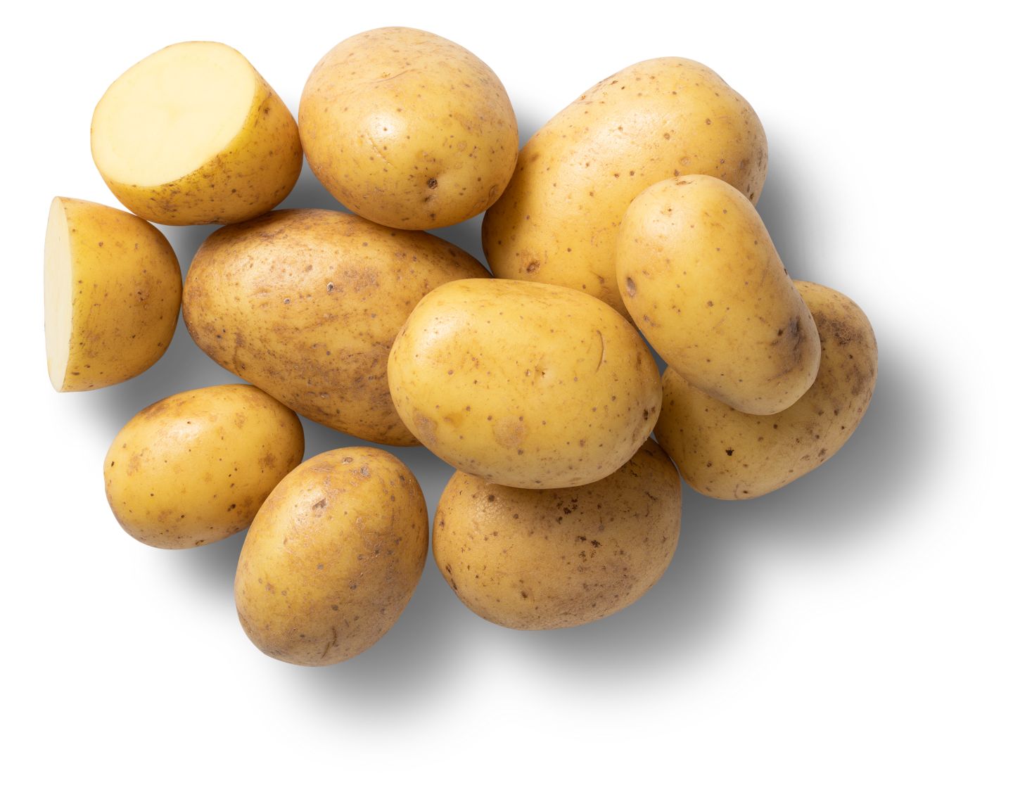 Speisekartoffeln Linella