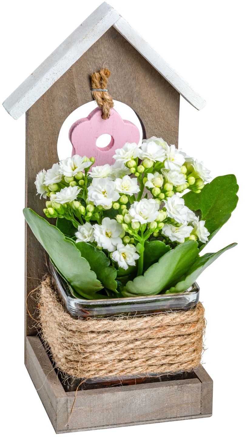 Muttertags- Arrangemnts