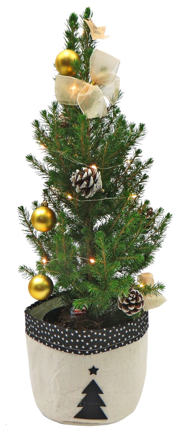 Weihnachtsbaum, dekoriert