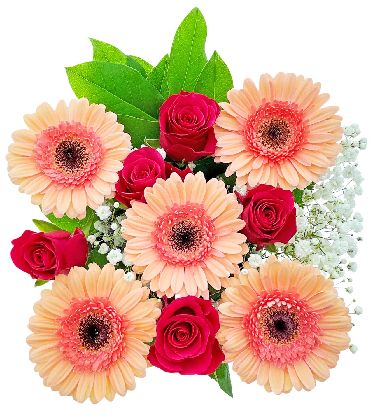 Rosen-Gerministrauß