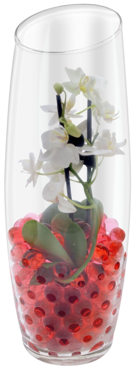 Mini Orchidee im Glas