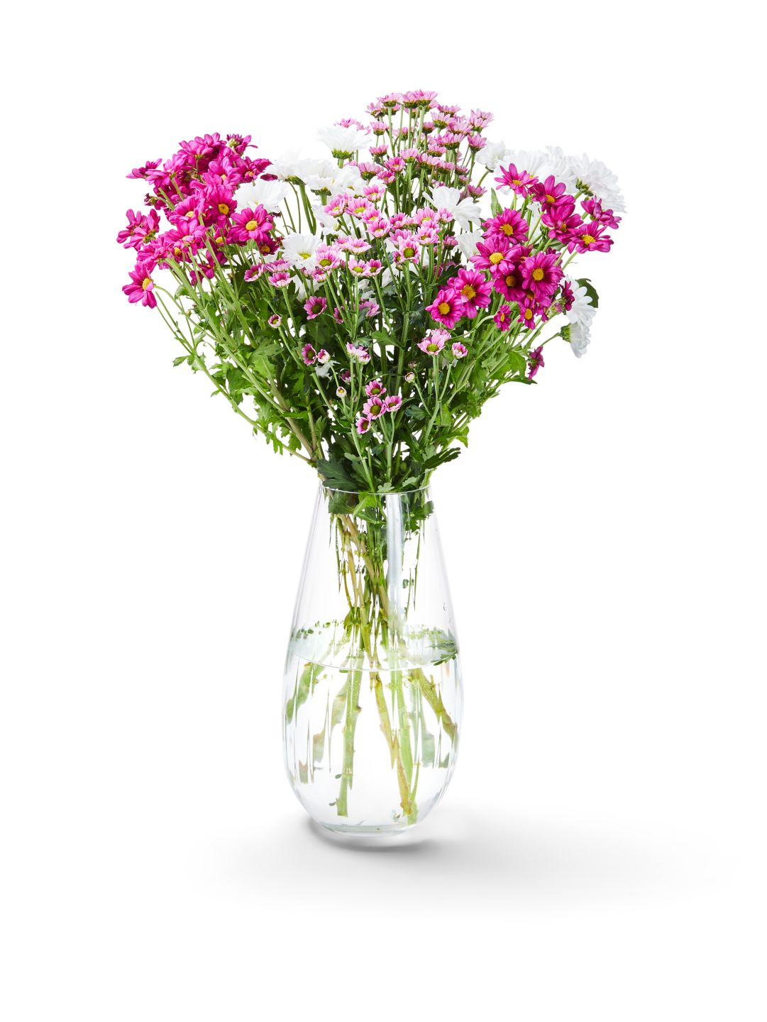 Chrysanthemen Santini Mix