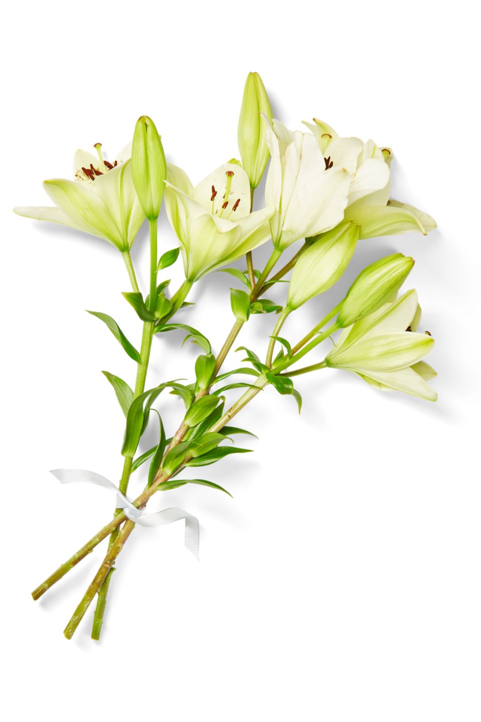 Lilien  