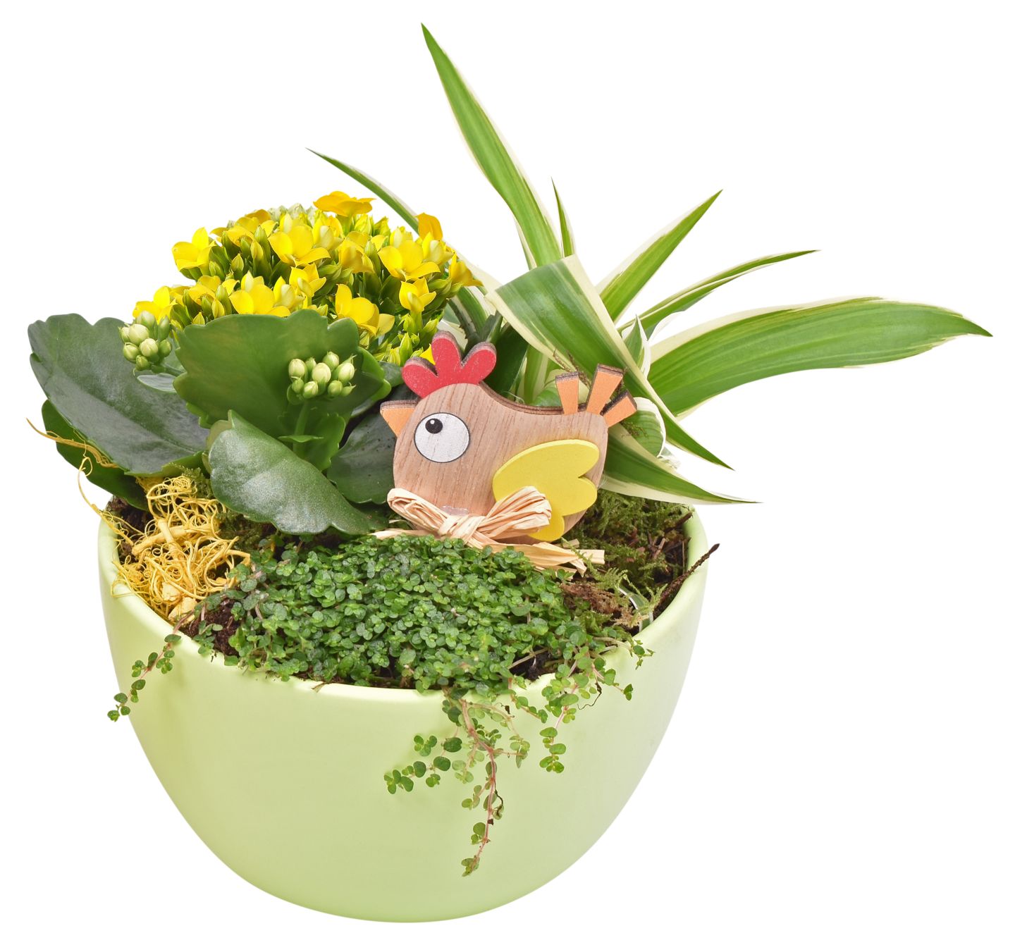 Bepflanzte Osterarrangements