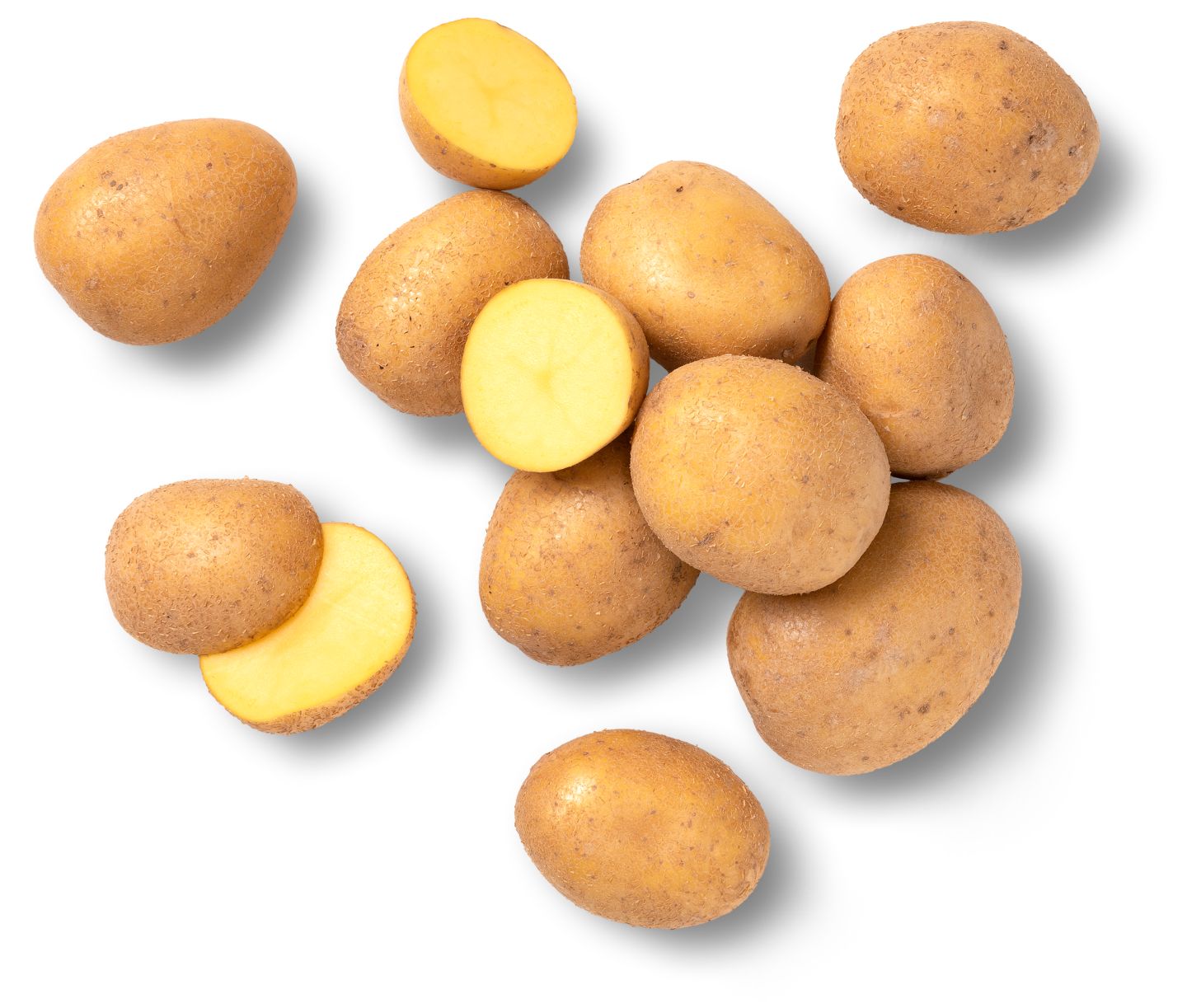 Speisekartoffeln, Früchte von Dahoam aus Kühbach