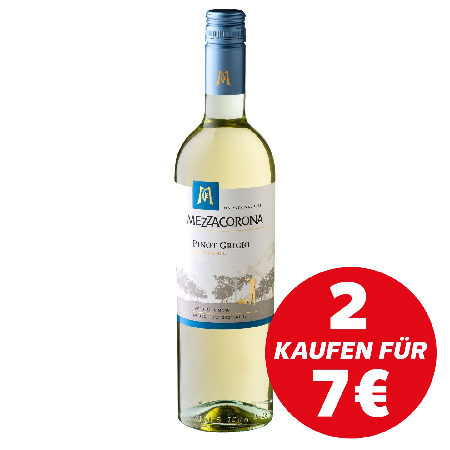 MEZZACORONA Pinot Grigio, Merlot, Moscato oder Chardonnay
