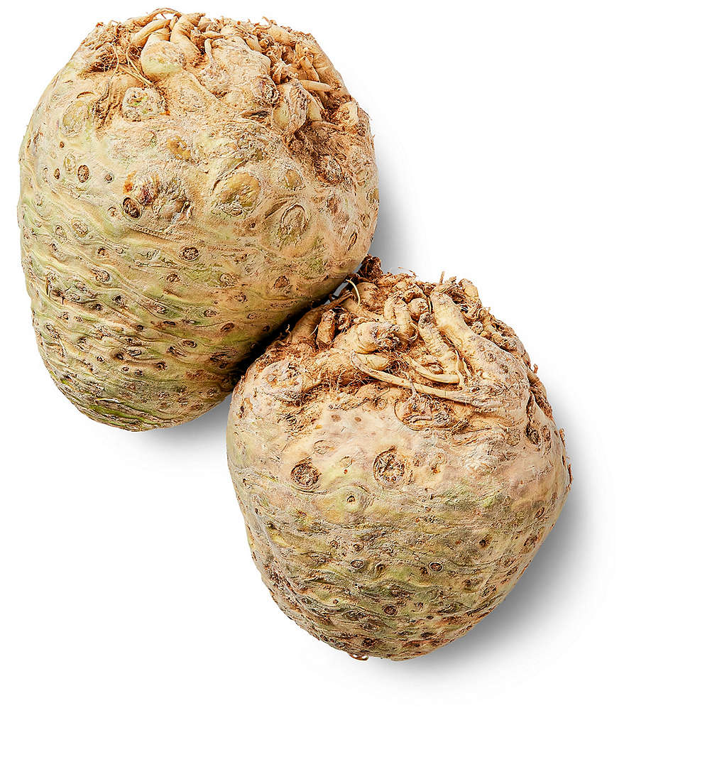 Țelină