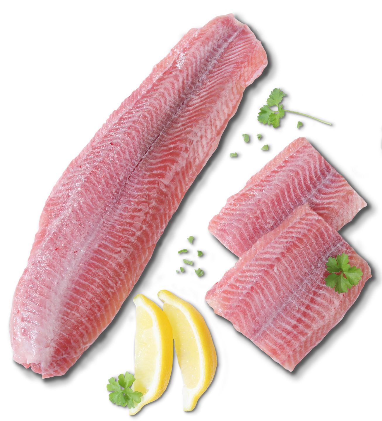 Rotfleischiges Welsfilet ohne Haut