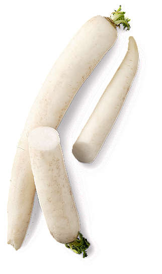 Rzodkiew biała