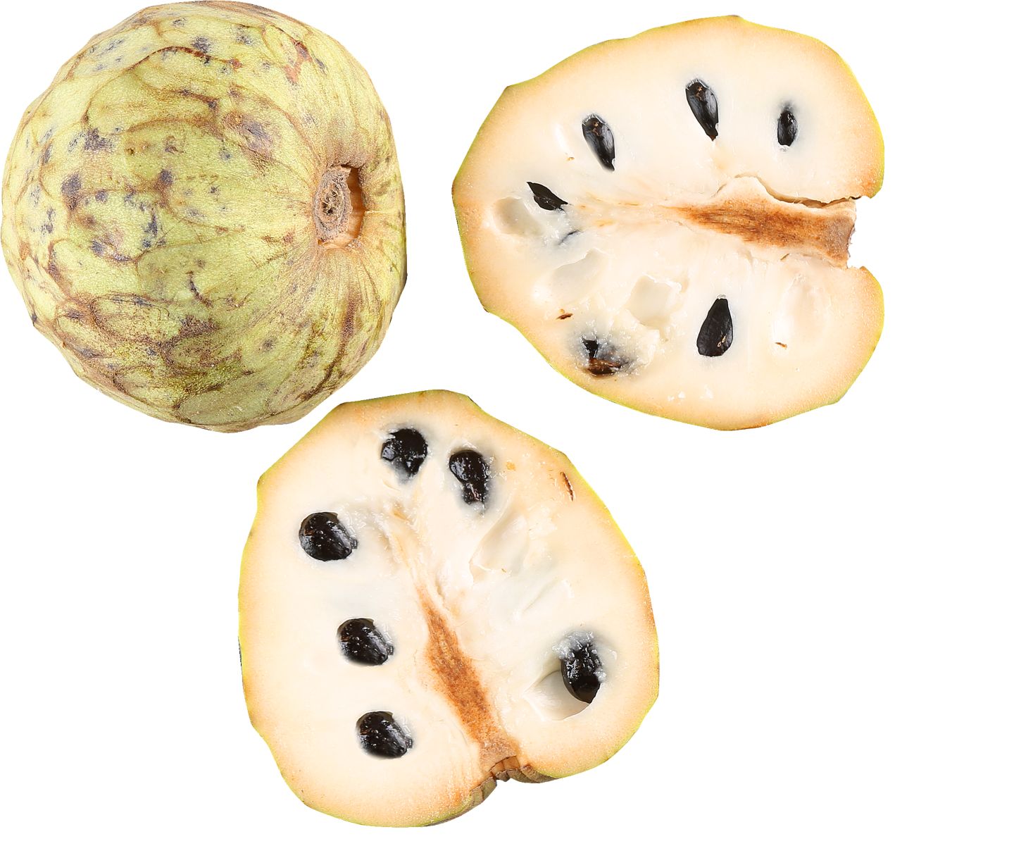 Cherimoya 