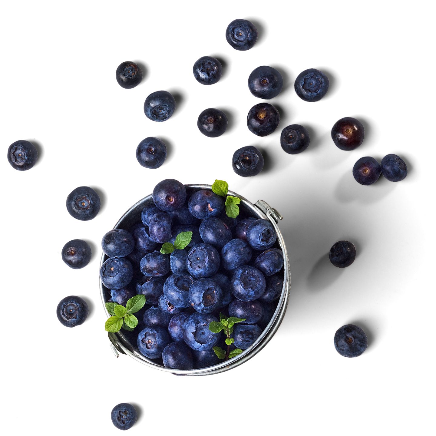 Bio Borovnica 125 g MPC 2.5.2025=2,29€