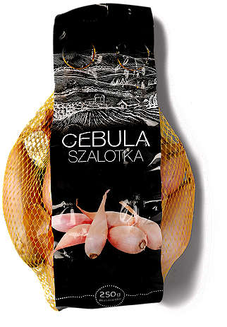 Cebula Szalotka
