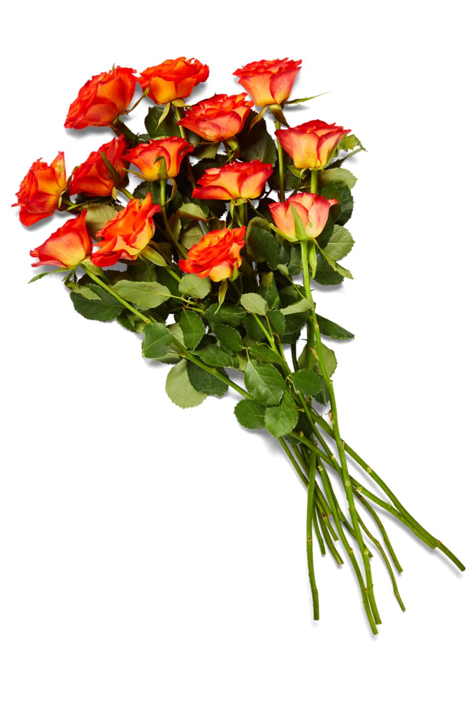 Fairer Strauß oder Rosenstrauß Fairtrade