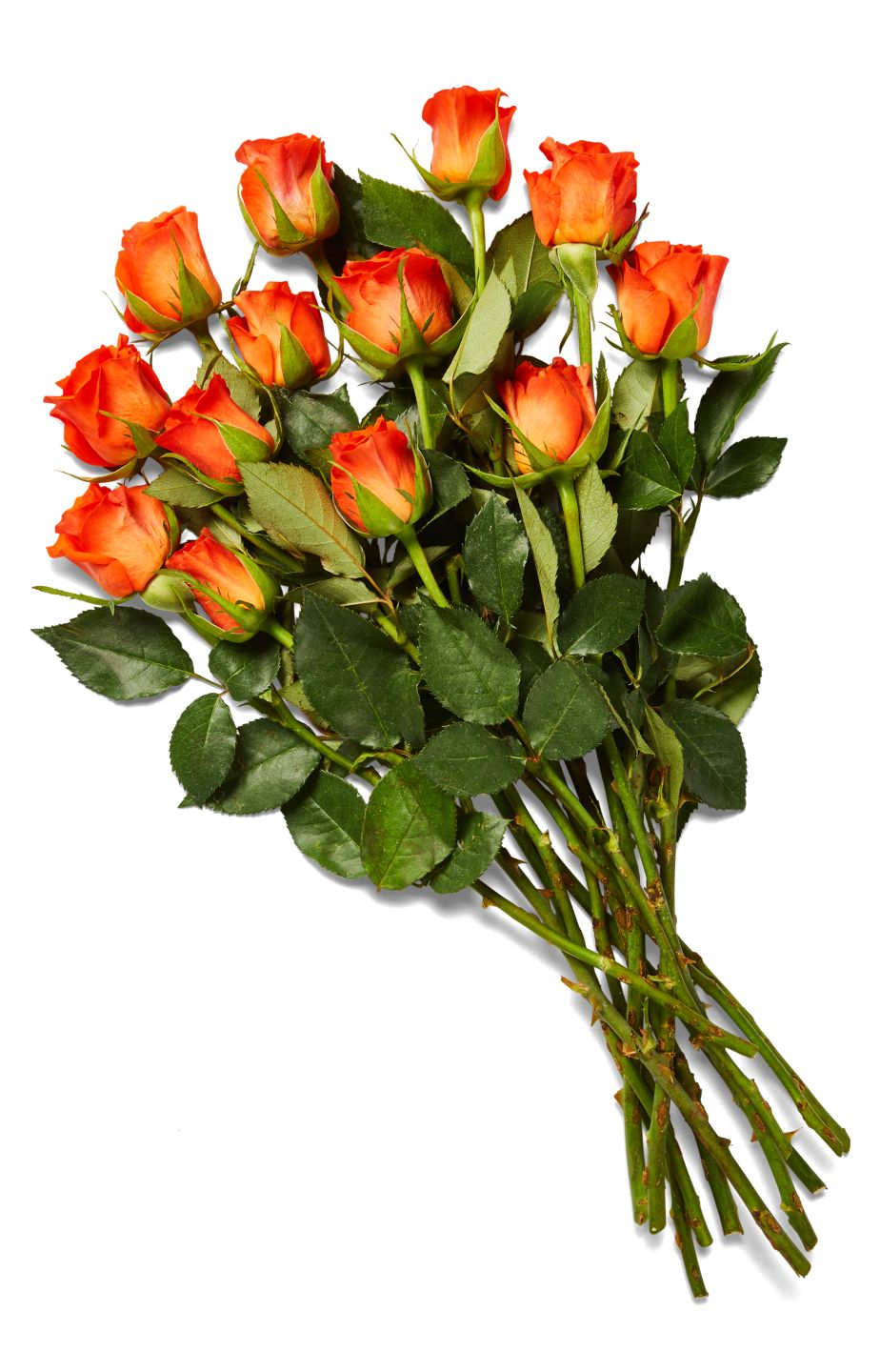 Fairer Strauß oder Rosenstrauß Fairtrade