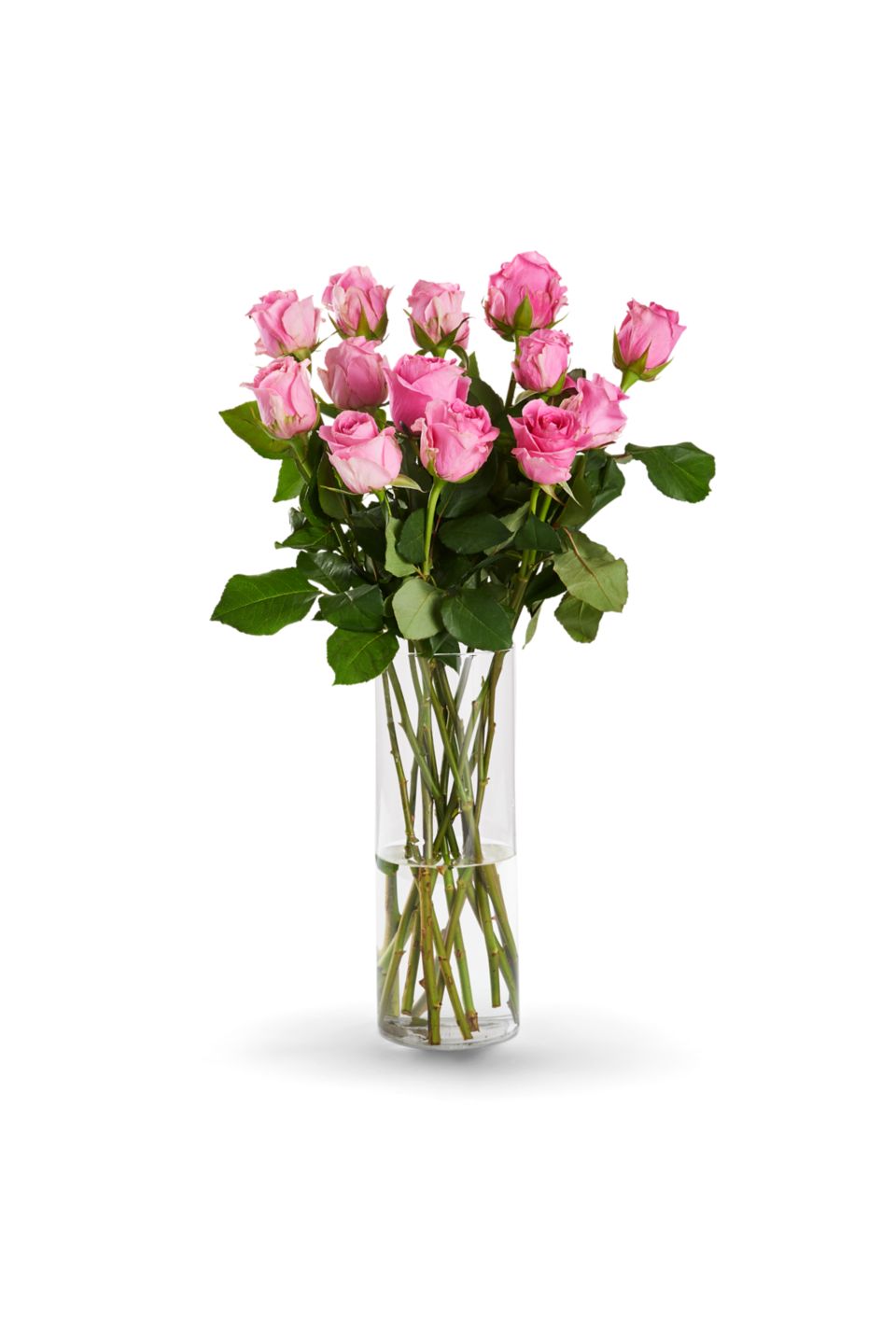 Fairer Strauß oder Rosenstrauß Fairtrade