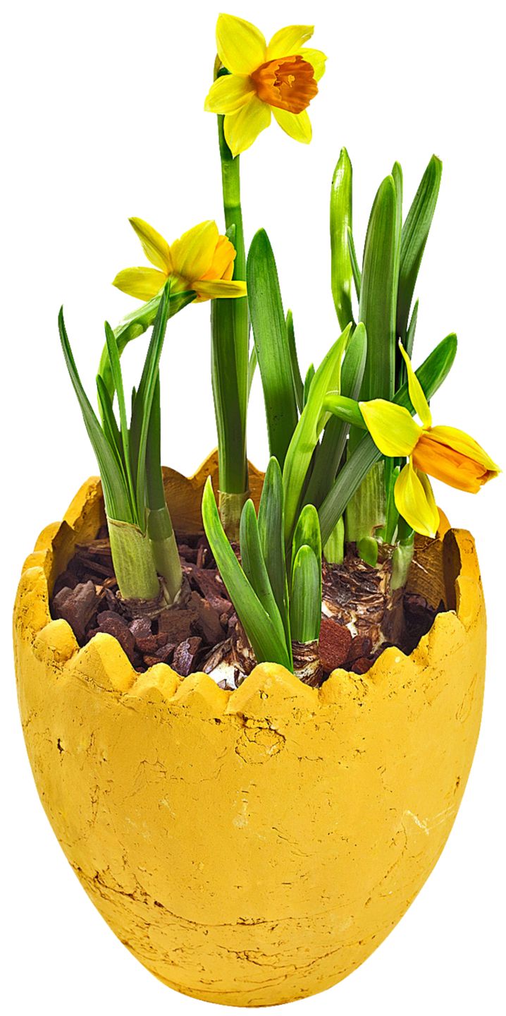 Изображение на Нарцис керамика 9см 