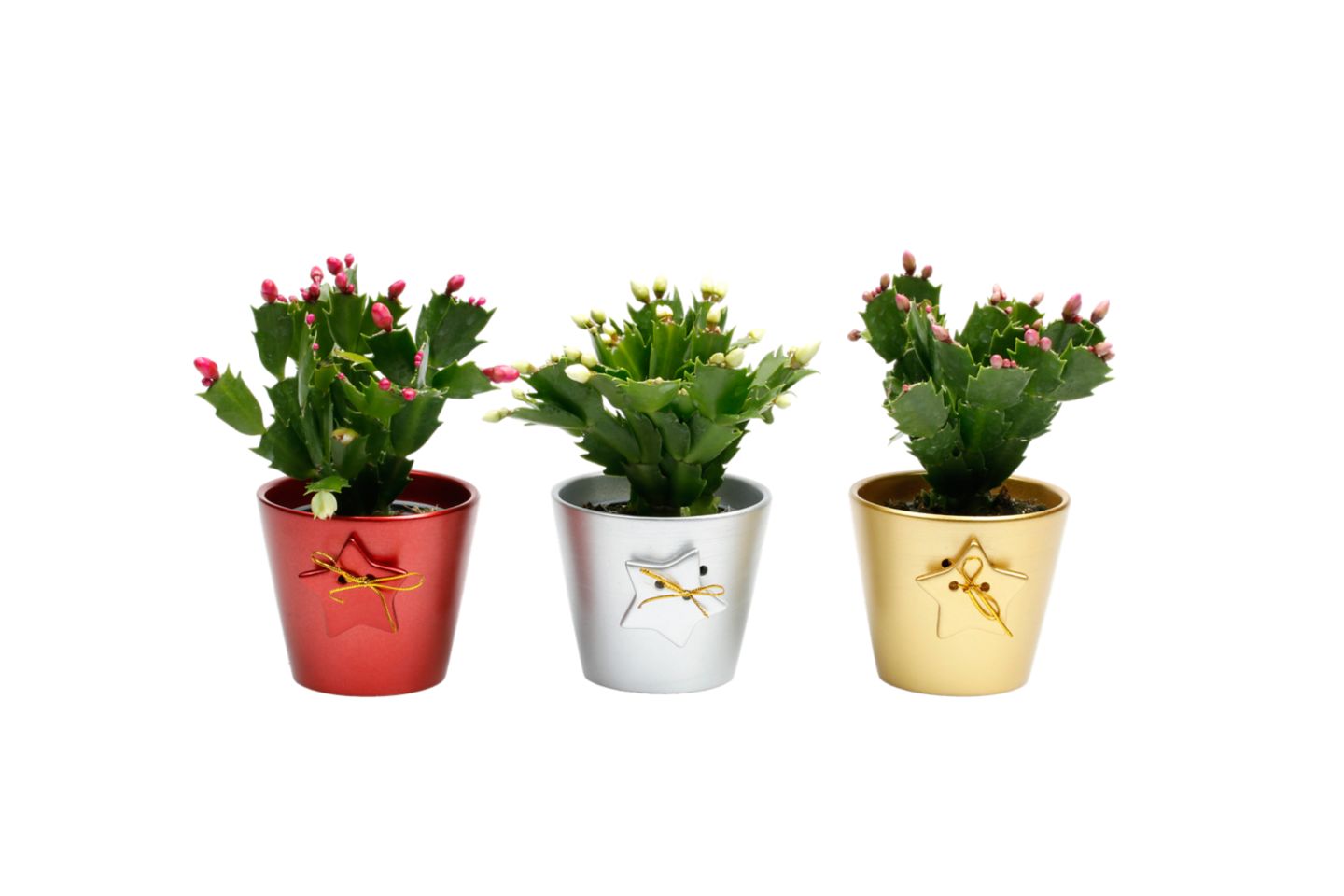 Изображение на Коледниче в керамика 9 см 