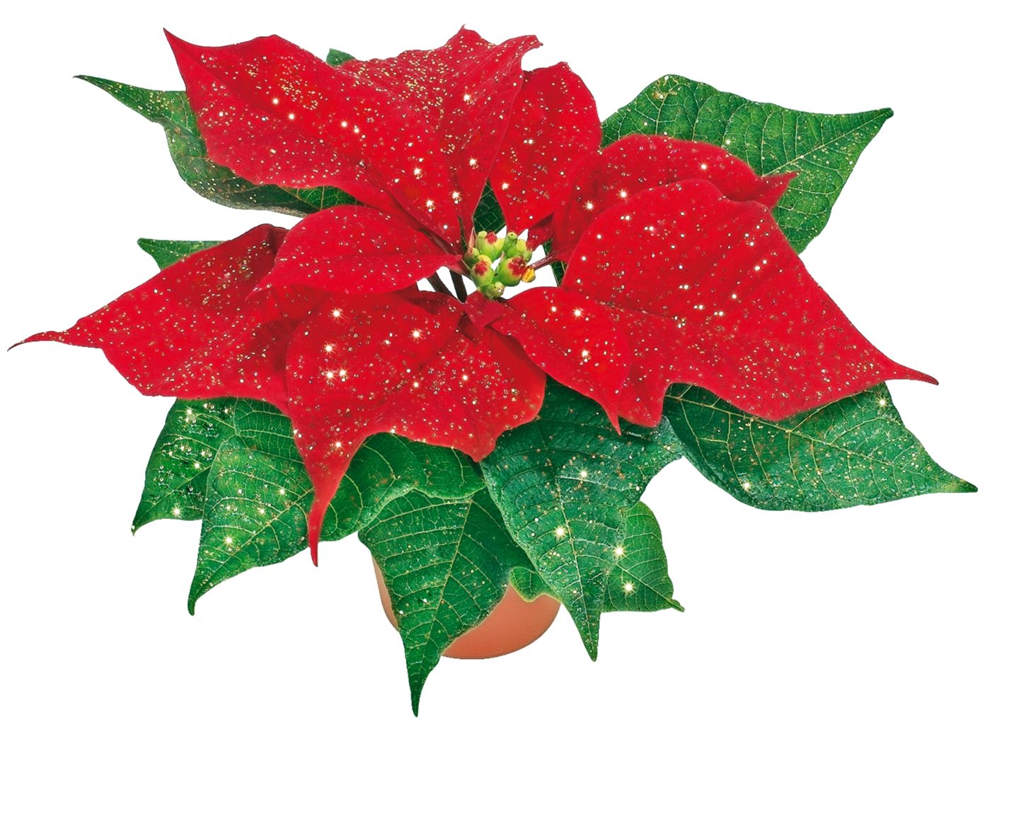 Изображение на Мини коледна звезда с блясък/ без блясък