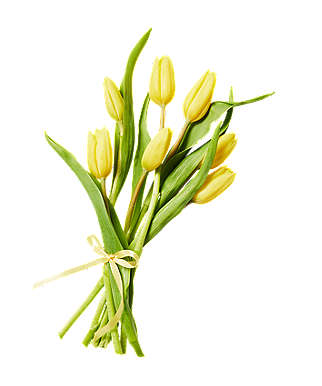 Tulipany bukiet