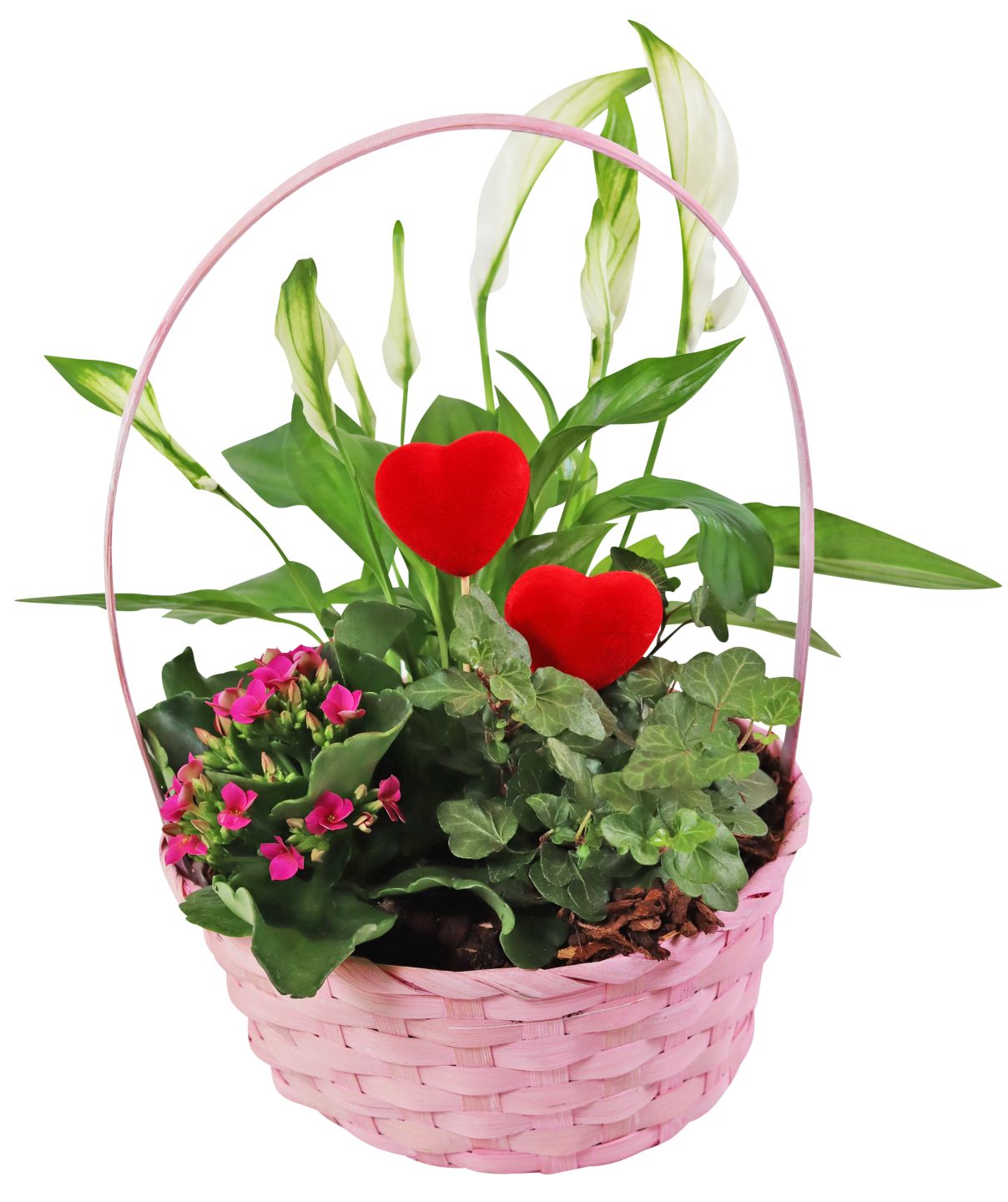 Muttertags- Arrangemnts