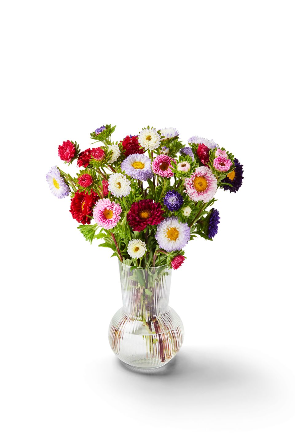 Sonnenblumen oder Sommerastern