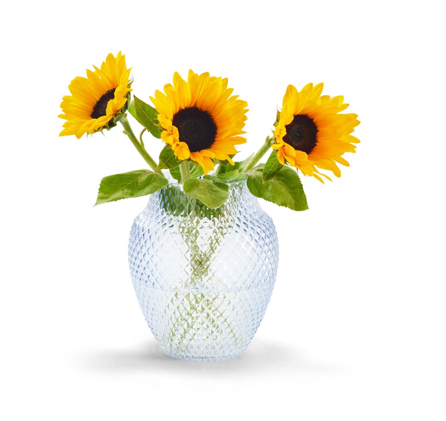 Sonnenblumen oder Sommerastern