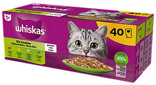Whiskas Karma dla kotów