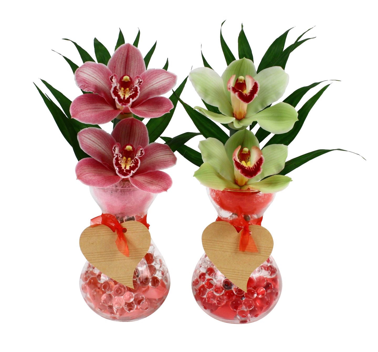 Изображение на Цимбидиум с 2 цвята