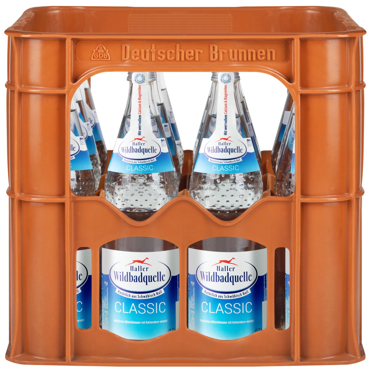 HALLER WILDBADQUELLE Mineralwasser