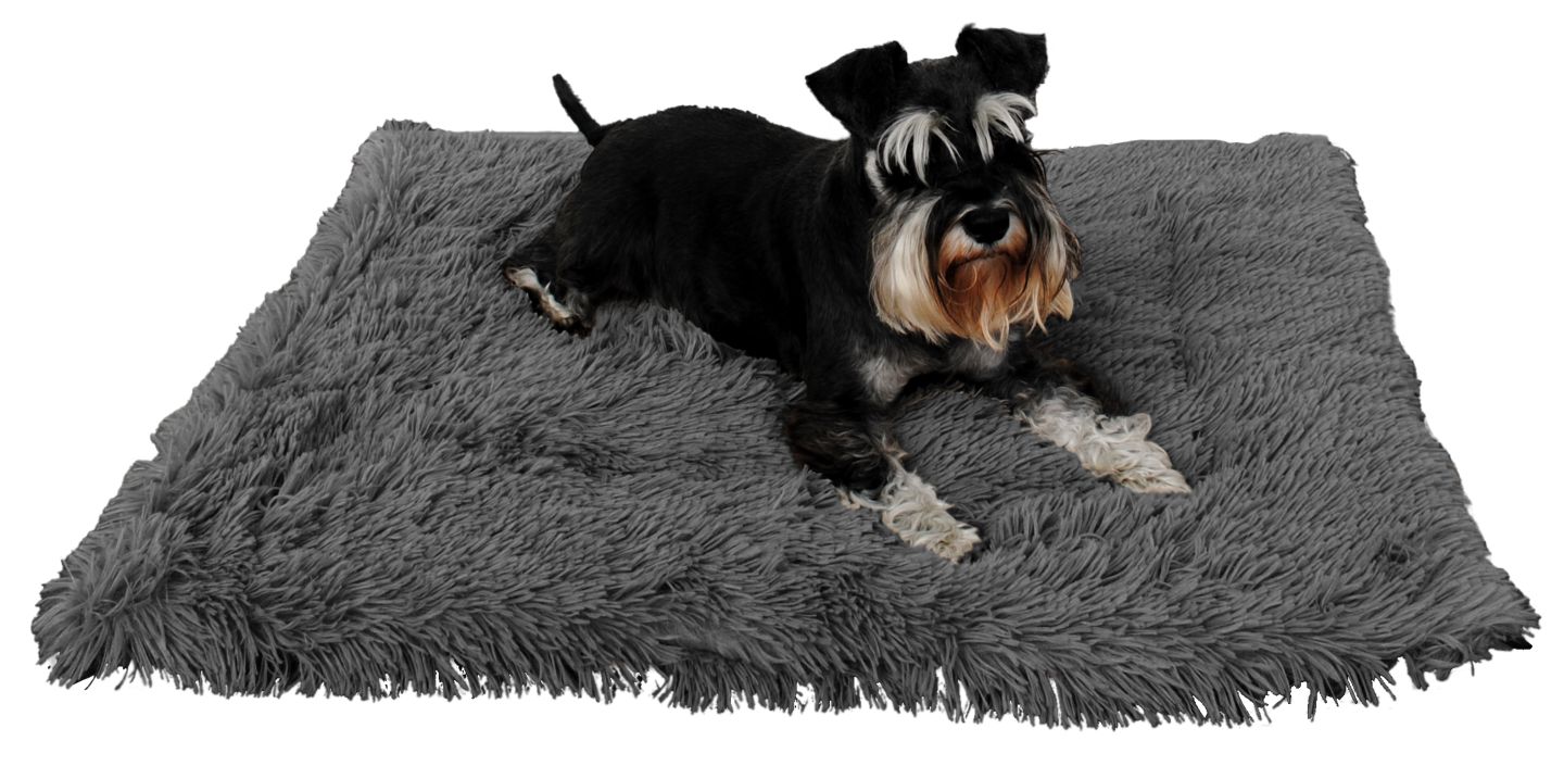 2-in-1-Haustierkissen