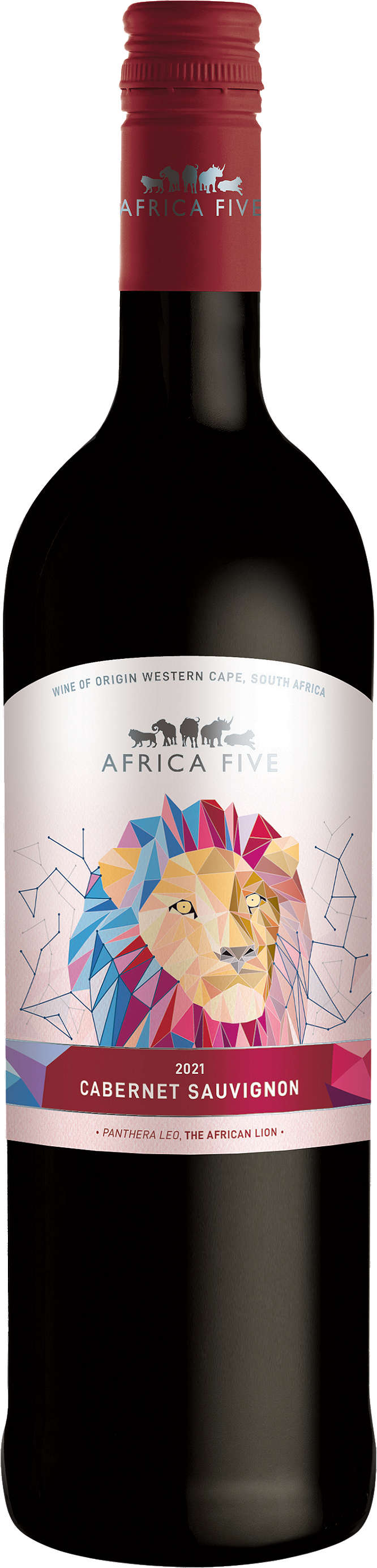 Zdjęcie oferty Africa Five Wino