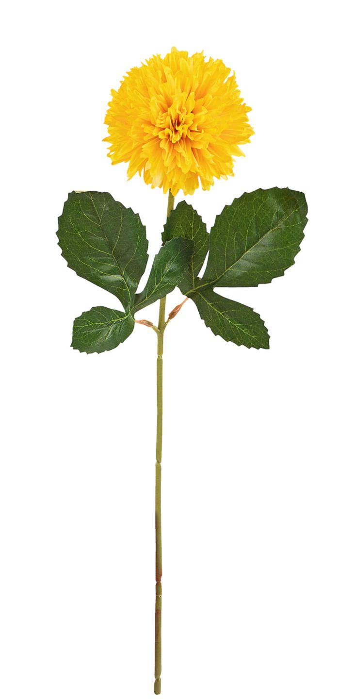 Krizantema 66 cm 