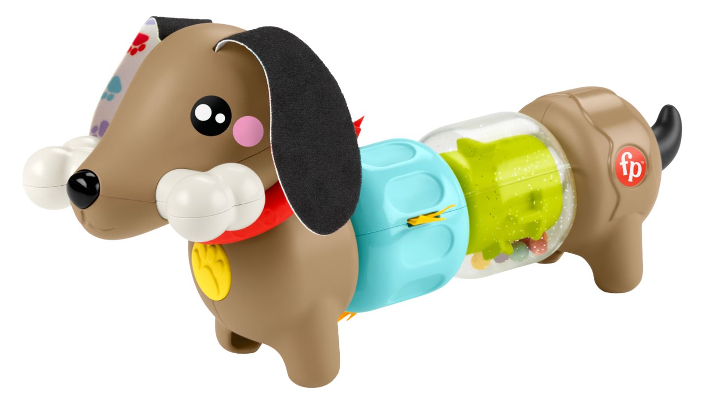 FISHER-PRICE Aktivitätshündchen