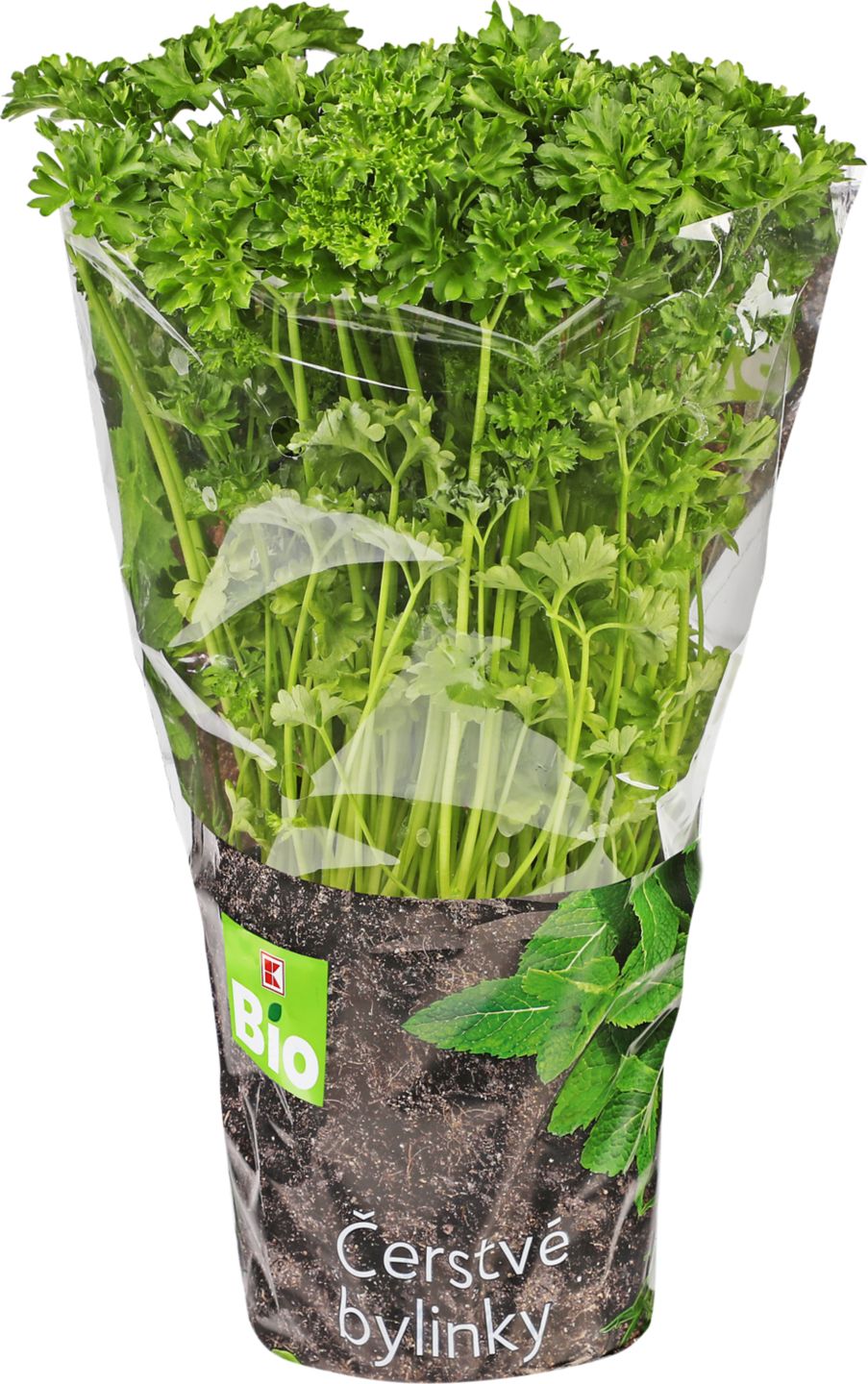 K-Bio Petržlenová vňať kučeravá