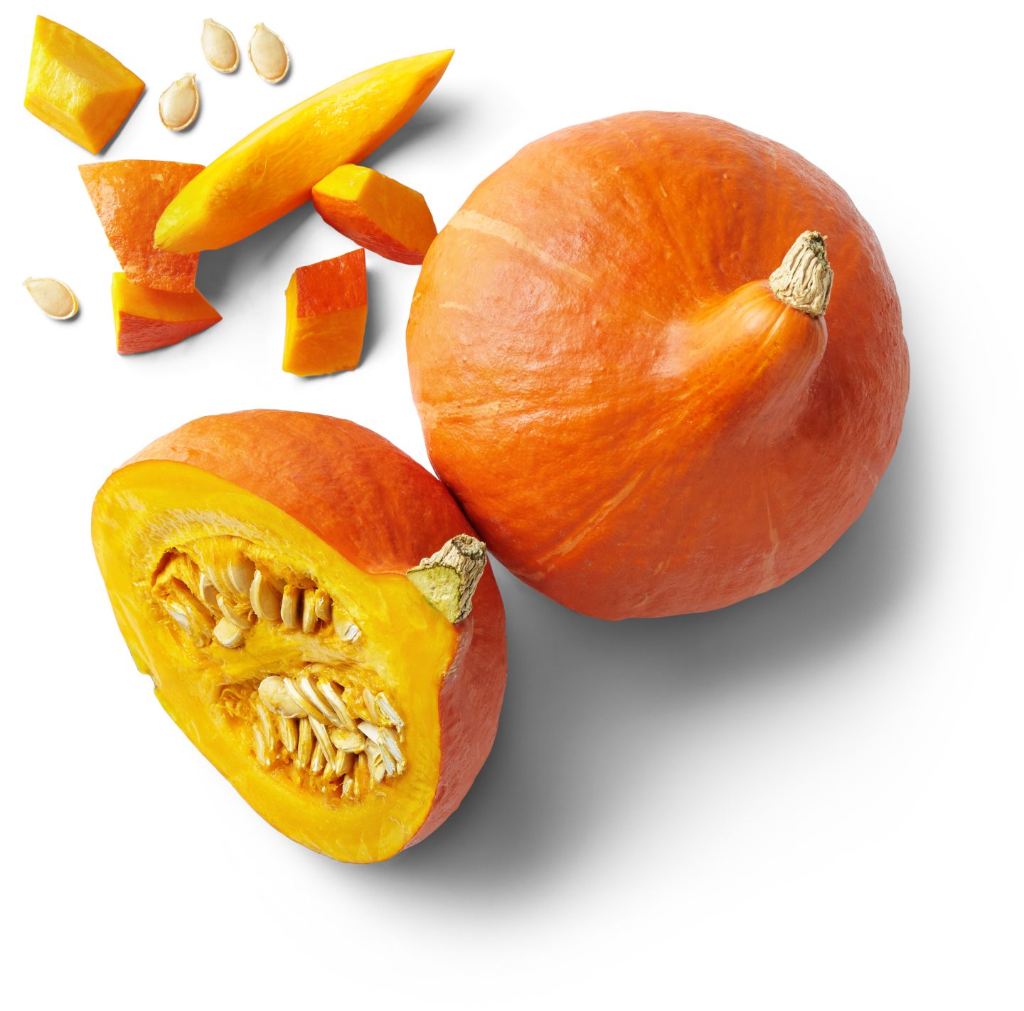 K-Bio Tekvica Hokaido