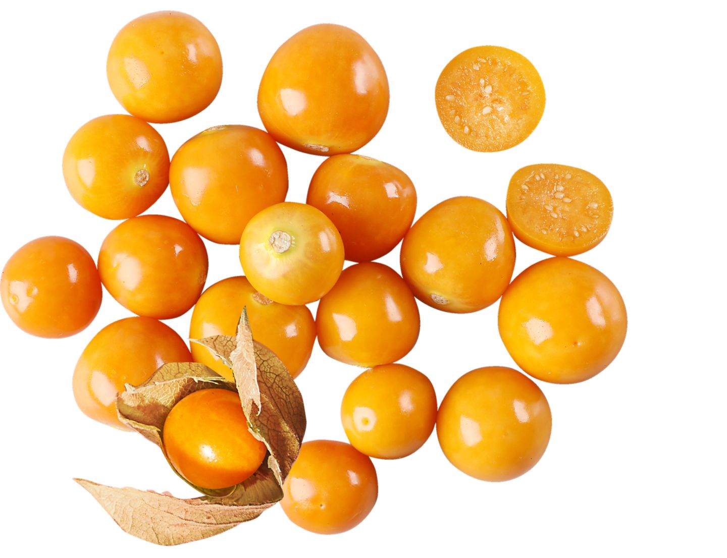 Physalis 
