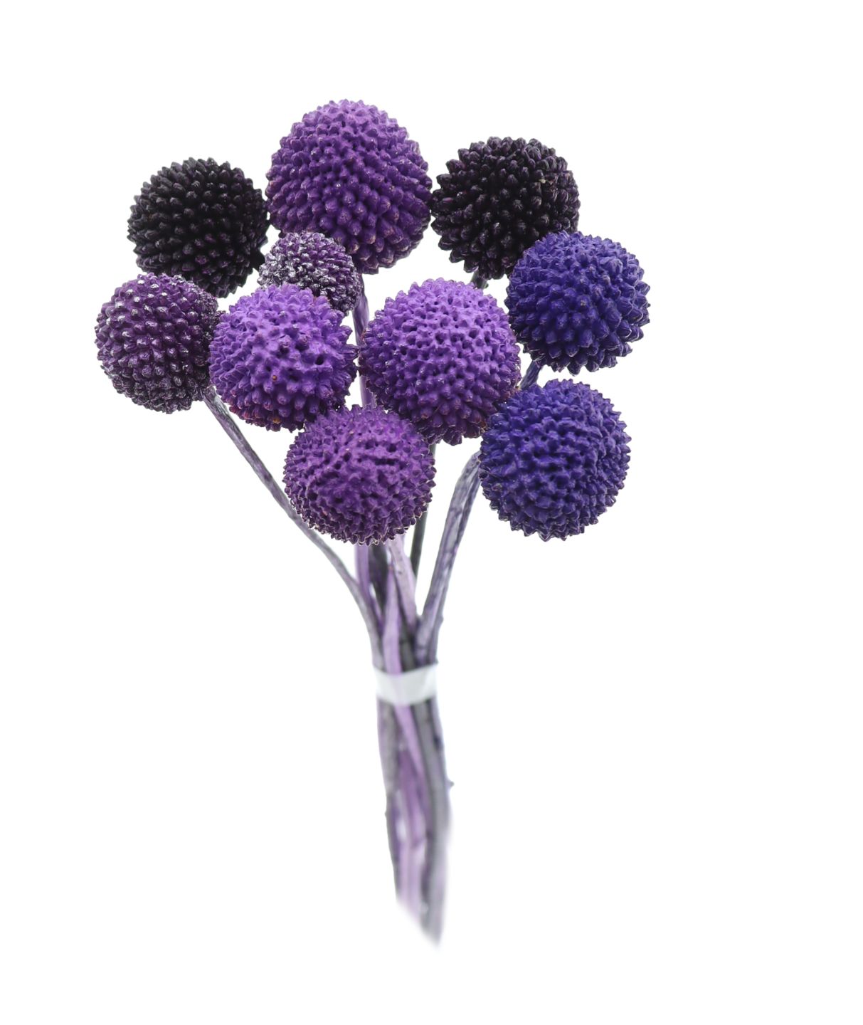 Billy Balls 