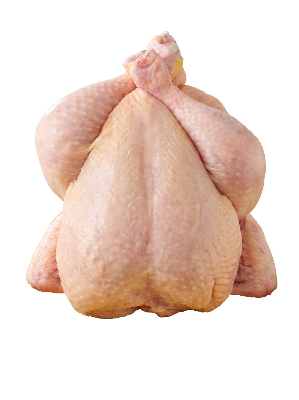 Pile ca. 1,5 kg_OC MPC 2.5.2025=3,09€