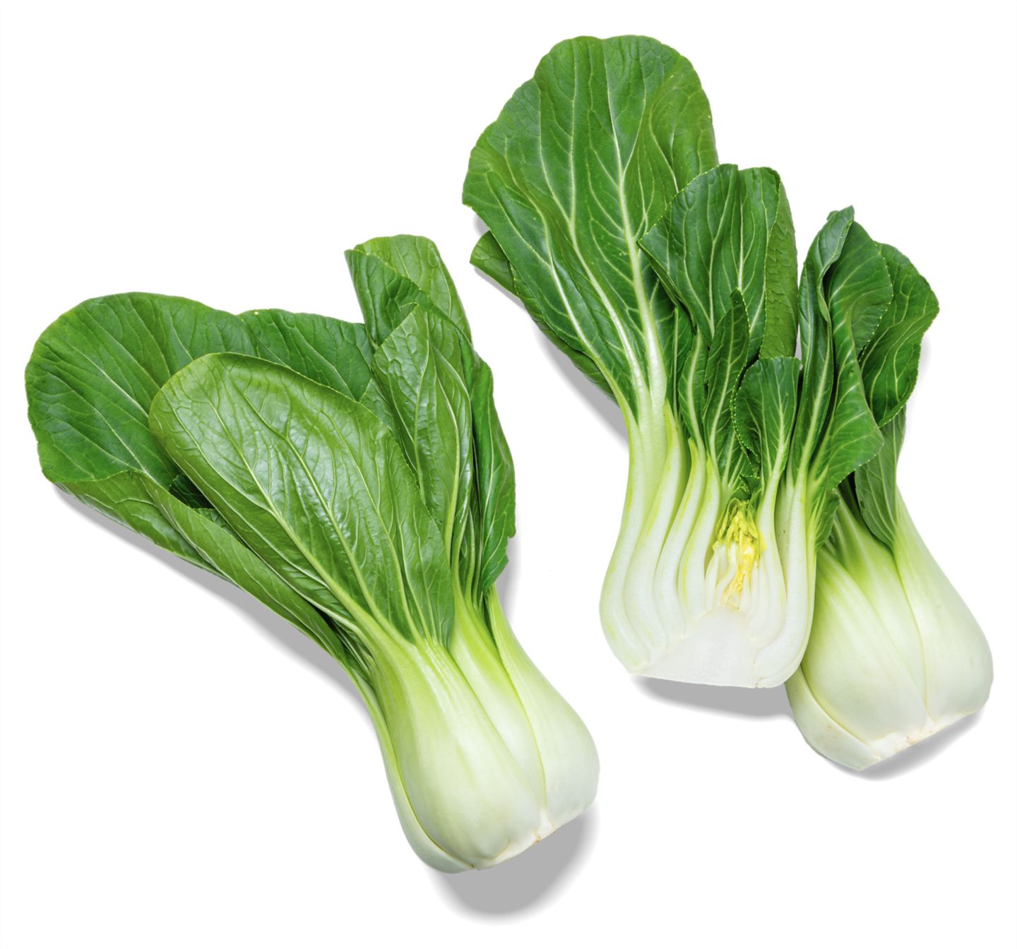 Pak Choi von Ayse Pinar aus Heilbronn  