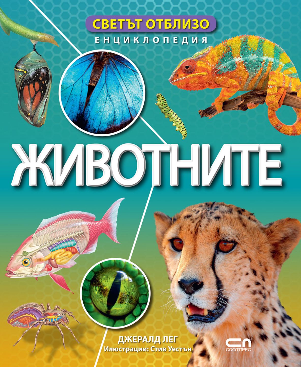 Изображение на Книга Светът отблизо