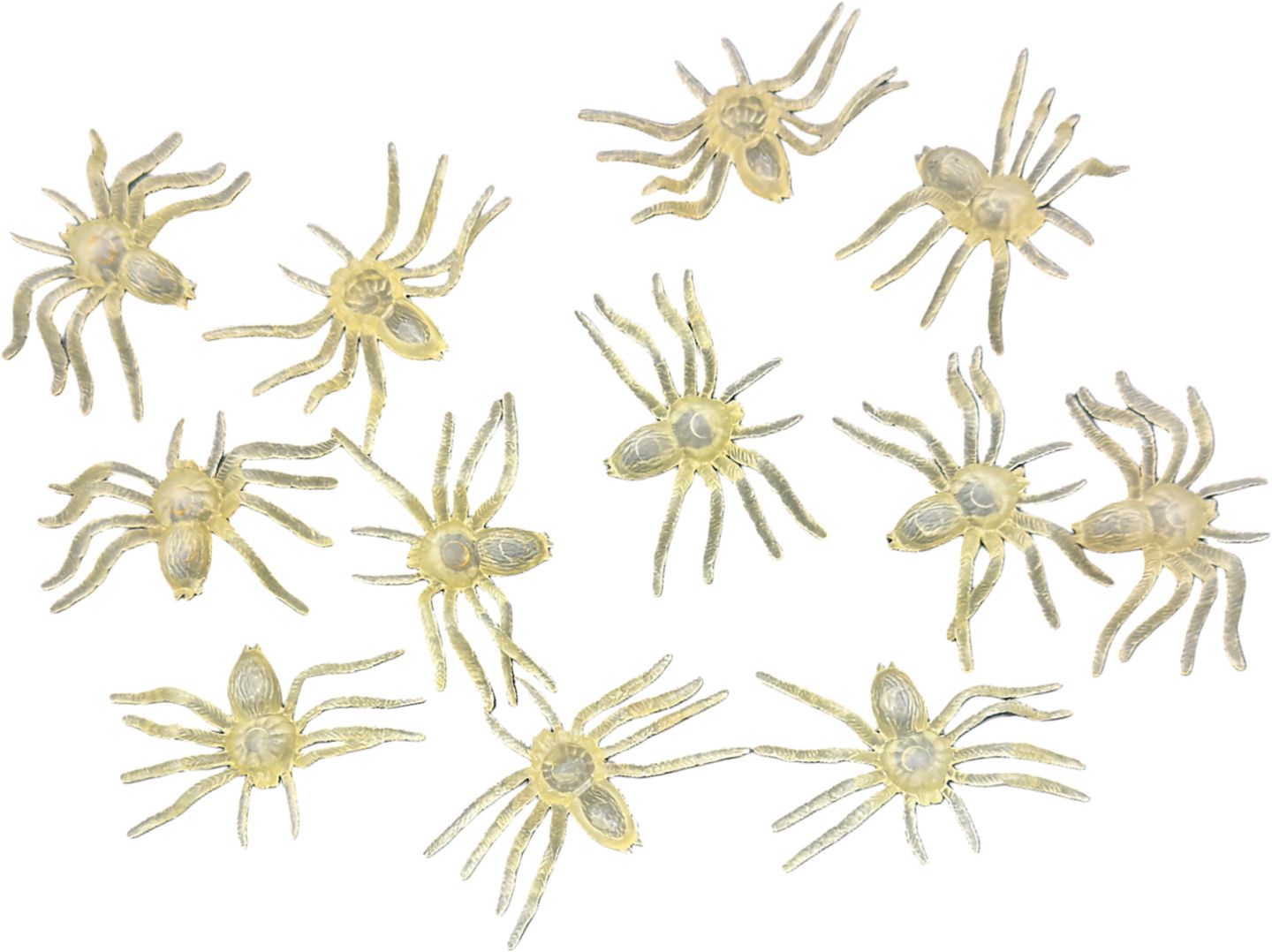 Sada 12 pavouků svítící ve tmě
5,5 cm