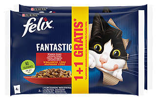 Felix Karma dla kotów