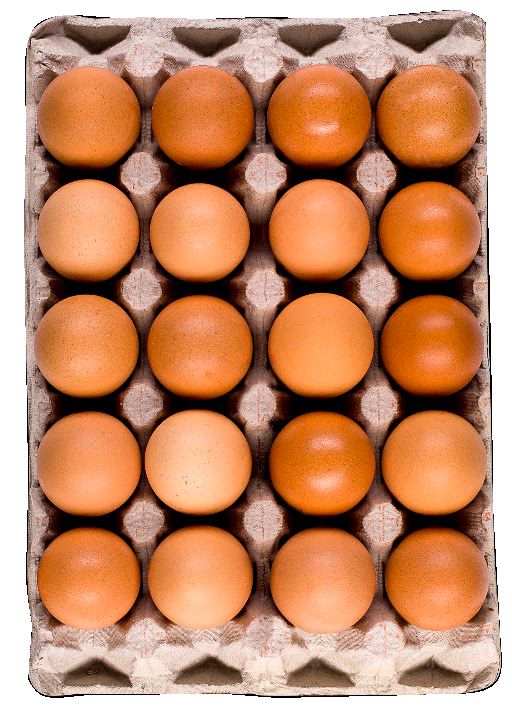 Изображение на ЗОРА Яйца
размер М