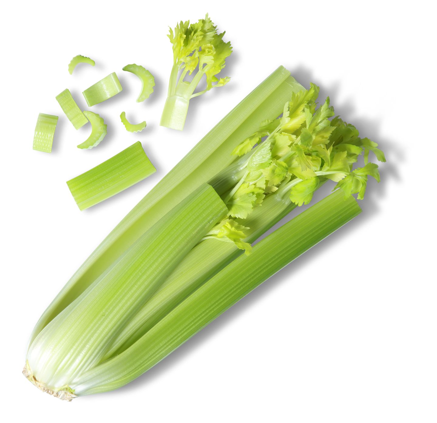 K-bio Zeler stopkatý