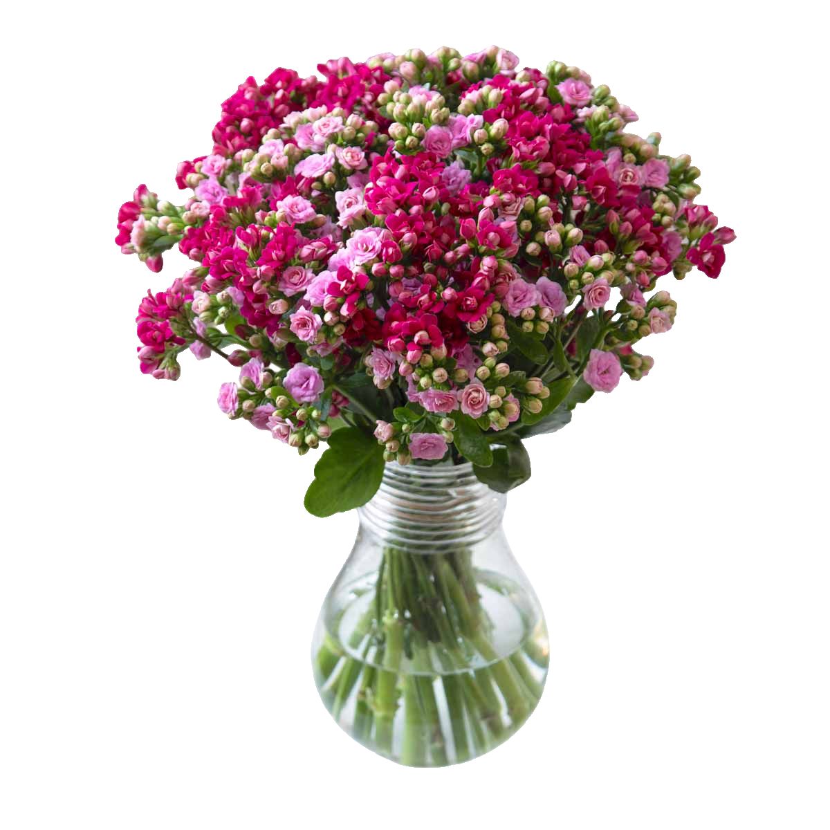 Изображение на Букет Каланхое 40 см