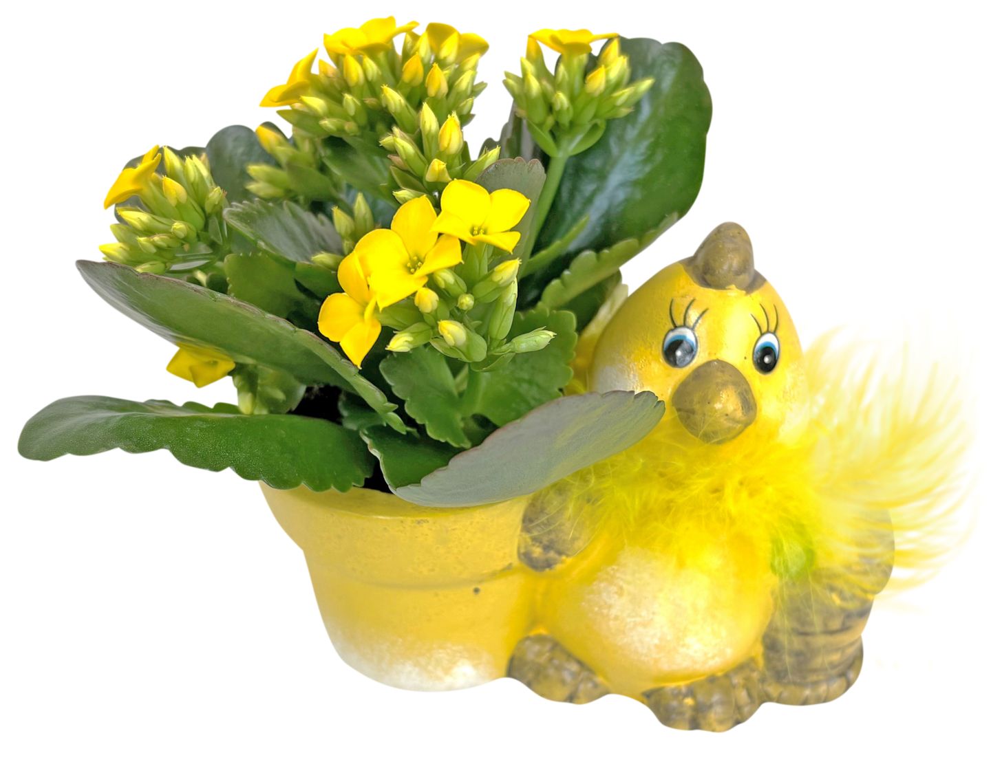 Mini Blühpflanze in Oster-Keramik