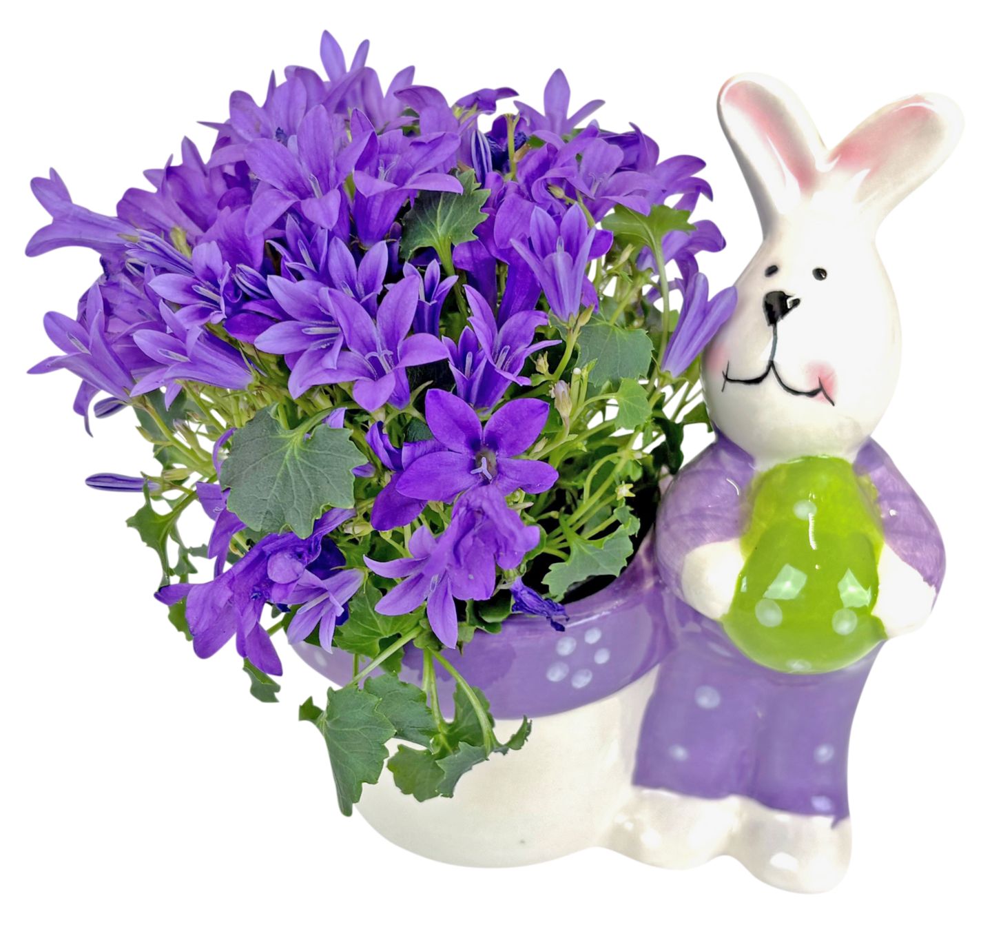 Mini Blühpflanze in Oster-Keramik