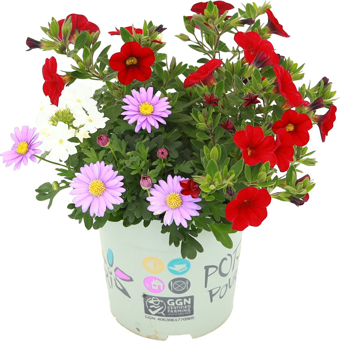 Изображение на Градински микс 