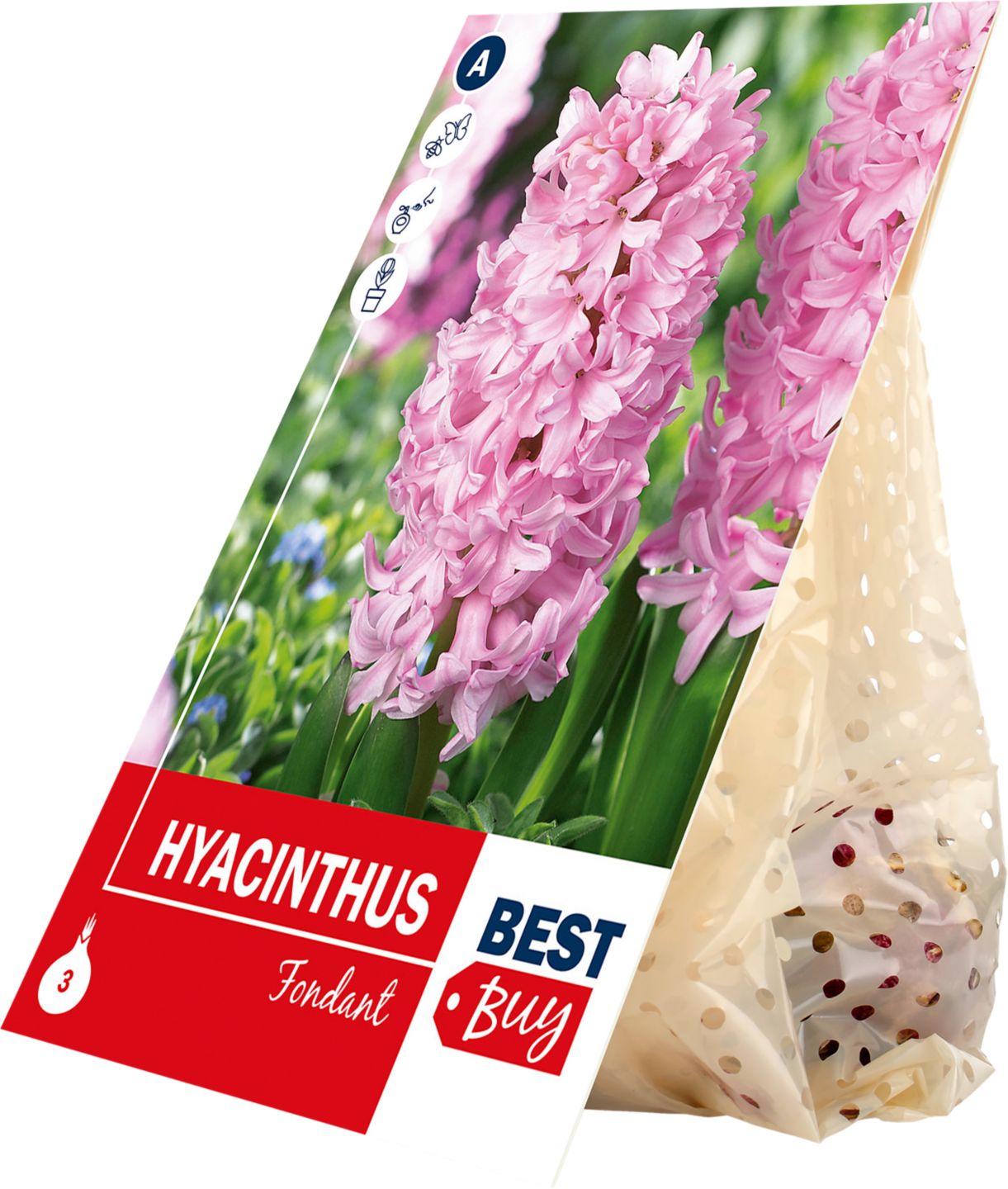 Hyacint Fondant, 3 ks 